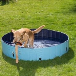 Piscina Para Perros Keep Cool -Suministros Para Mascotas 60405 dog pool mit hund 01 5