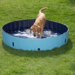 Piscina Para Perros Keep Cool -Suministros Para Mascotas 60405 dog pool mit hund 02 0