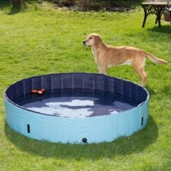 Piscina Para Perros Keep Cool -Suministros Para Mascotas 60405 dog pool mit hund 04 8