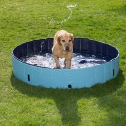Piscina Para Perros Keep Cool -Suministros Para Mascotas 60405 dog pool mit hund 05 2