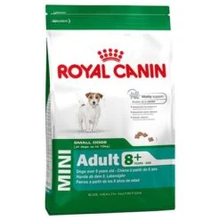 Royal Canin Mini Adult 8+ -Suministros Para Mascotas 60594 PLA Royal Canin MINI Adult 8 6 6