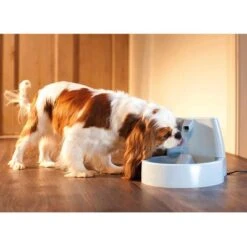 Fuente De Agua Para Mascotas Drinkwell Original De PetSafe 12 Fuente De Agua Para Mascotas Drinkwell Original De PetSafe -Suministros Para Mascotas 60939 dw o trinkbrunnen 1 5 hs 03 0