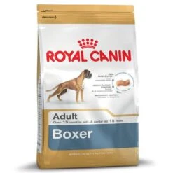 Royal Canin Boxer Adult -Suministros Para Mascotas 61118 PLA rgb Royal Canin Breed Boxer Adult 12kg 6