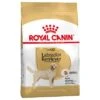 Royal Canin Labrador Retriever Adult