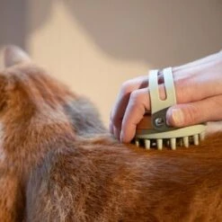 Kooa Cepillo Masajeador Para Gatos -Suministros Para Mascotas 62207 20 kooa haustierbuerste hpc2208 1000x 6