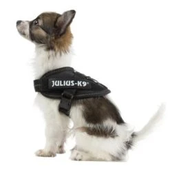 Julius K9 Arnés Julius-K9 IDC® Power Negro Para Perros 14 Julius K9 Arnés Julius-K9 IDC® Power Negro Para Perros -Suministros Para Mascotas 65467 julius k9 idc powergeschirr schwarz 7