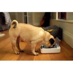 Comedero Hermético SureFeed -Suministros Para Mascotas 69308 pla 6 luftdichte futt 3