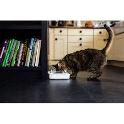 Comedero Hermético SureFeed -Suministros Para Mascotas 69308 pla 7 luftdichte futt 5