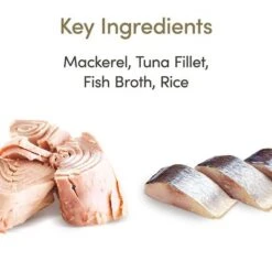 Applaws Latas En Caldo Para Gatos 6 X 156 G 32 Applaws Latas En Caldo Para Gatos 6 X 156 G -Suministros Para Mascotas 71551 applaws bruehe meeresfisch 156g hs 01 4