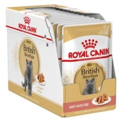 Royal Canin Breed British Shorthair -Suministros Para Mascotas 72437 royalcanin britishshorthair wet pack hs 01 6