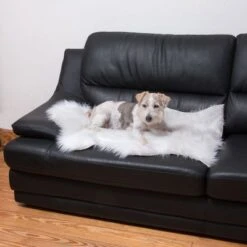 Smartpet Alfombra Para Perros Y Gatos -Suministros Para Mascotas 73343 kunstfell wei tier fg 9887 1