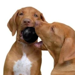 KONG Extreme Ball -Suministros Para Mascotas 74241 kong extremeball hs 03 6