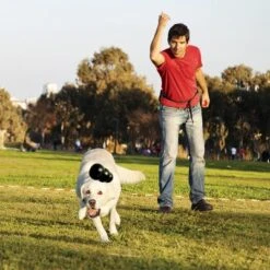 KONG Extreme Juguete Negro Para Perros -Suministros Para Mascotas 74319 kongextremeschwarz hs 02 0