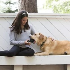 KONG Extreme Juguete Negro Para Perros -Suministros Para Mascotas 74319 kongextremeschwarz hs 03 2