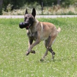 KONG Extreme Juguete Negro Para Perros -Suministros Para Mascotas 74319 kongextremeschwarz hs 04 9