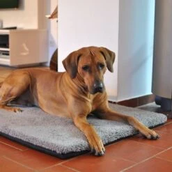 Colchón Ortopédico Pawz & Pepper Aurora 15 Colchón Ortopédico Pawz & Pepper Aurora -Suministros Para Mascotas 78424 petlando pawzpepper hundekissen denver hs 07 9