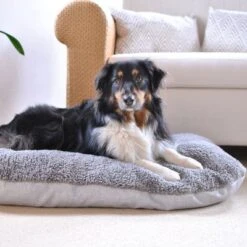 Cojín Ortopédico Pawz & Pepper Denver -Suministros Para Mascotas 78610 petlando pawzpepper hundekissen auroraortho hs 010 3