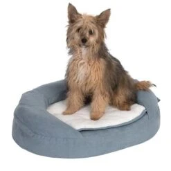 Cama Ortopédica Memory Ovalada Gris -Suministros Para Mascotas 79216 memory oval grau fg 6660 7