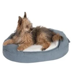Cama Ortopédica Memory Ovalada Gris -Suministros Para Mascotas 79216 memory oval grau fg 6670 1