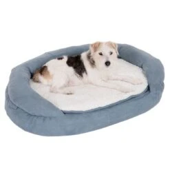 Cama Ortopédica Memory Ovalada Gris -Suministros Para Mascotas 79217 memory oval grau fg 6571 5