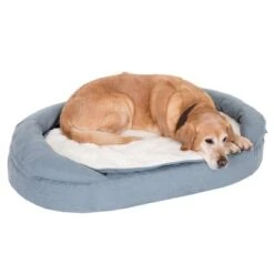 Cama Ortopédica Memory Ovalada Gris -Suministros Para Mascotas 79310 memory oval grau fg 6579 0
