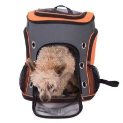 Mochila Voyage Para Mascotas 27 Mochila Voyage Para Mascotas -Suministros Para Mascotas 79332 rucksack voyage fg 7236 0