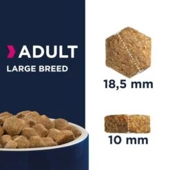 Eukanuba Adult Razas Grandes Con Pollo -Suministros Para Mascotas 80538 eukanuba adult large breed kibbles 7