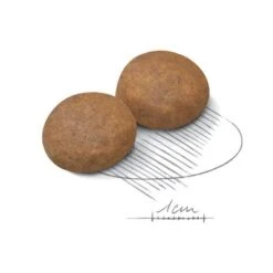 Royal Canin Maxi Adult 5+ -Suministros Para Mascotas 80637 royalcanin maxiadult 5plus 15kg croc hs 02 1