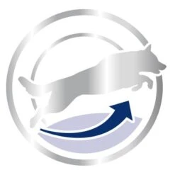 Royal Canin Maxi Adult 5+ -Suministros Para Mascotas 80637 royalcanin maxiadult 5plus 15kg picto hs 03 8