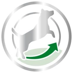 Royal Canin Mini Adult 8+ -Suministros Para Mascotas 80653 royalcanin miniadult 8plus picto hs 03 6