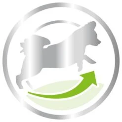 Royal Canin X-Small Adult 8 + -Suministros Para Mascotas 80654 royalcanin packshot xsmall 8plus 3kg picto hs 03 2