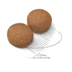 Royal Canin Maxi Adult -Suministros Para Mascotas 80729 royalcanin maxiadult 15kg krokette hs 02 0