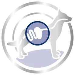 Royal Canin Maxi Adult -Suministros Para Mascotas 80729 royalcanin maxiadult 15kg picto hs 03 5