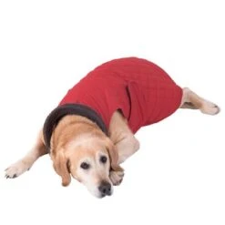 Abrigo Steppmuster Para Perros -Suministros Para Mascotas 81645 hundemantel steppmuster hund fg 8625 gespiegelt 3