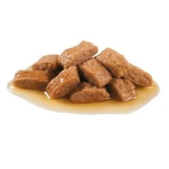 Royal Canin Medium Ageing 10 + En Salsa Para Perros 9 Royal Canin Medium Ageing 10 + En Salsa Para Perros -Suministros Para Mascotas 82974 royalcanin medium ageing 1