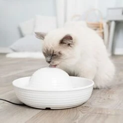 Bebedero Fuente Trixie Vital Flow De Cerámica -Suministros Para Mascotas 83797 trixie trinkbrunnen keramik vital flow mini hs 02 9