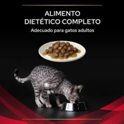 Purina Pro Plan Feline DM ST/OX Diabetes Management Veterinary Diets Con Pollo -Suministros Para Mascotas 8445290046048 4 textura 7