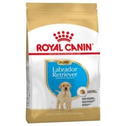Royal Canin Labrador Retriever Puppy / Junior