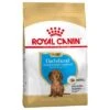 Royal Canin Teckel Puppy / Junior