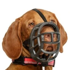 Bozal Baskerville Ultra 2.0 Con Cierres De Plástico -Suministros Para Mascotas 94513 maulkorb baskerville ultra hs7 2