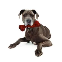 Hueso Nylabone Dura Chew Monster Aroma A Bisonte -Suministros Para Mascotas 94898 nylabone durra chew monster hs 05 1