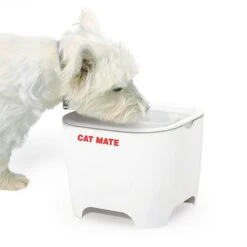 Bebedero Fuente Cat Mate Concha De Pet Mate -Suministros Para Mascotas 95720 cat mate shell pet fountain hs 01 7