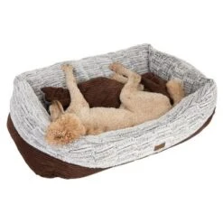 Cama Hyggelig Para Perros -Suministros Para Mascotas 97649 koenigspudel fg 4716 1
