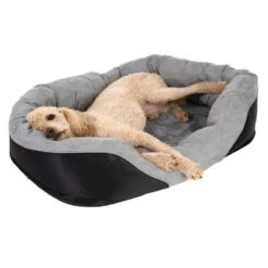 Cama Ortopédica Lazy Para Perros -Suministros Para Mascotas 98297 koenigspudel fg 4710 2