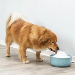 Bebedero Fuente Trixie Vital Falls De Cerámica 14 Bebedero Fuente Trixie Vital Falls De Cerámica -Suministros Para Mascotas 98396 trixie trinkbrunnen vital falls keramik hs 09 2