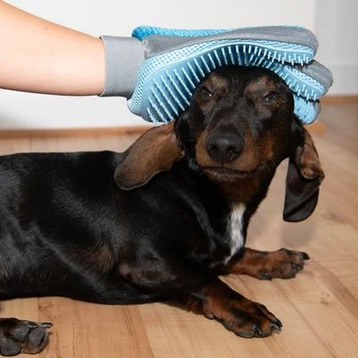 Guante De Doble Cara Para Pelaje De Mascotas 14 Guante De Doble Cara Para Pelaje De Mascotas - Imagen 14