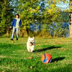Pelota Chuckit! Kick Fetch Para Perros 9 Pelota Chuckit! Kick Fetch Para Perros -Suministros Para Mascotas 99703 petmate chuckit kick fetch large hs 04 9