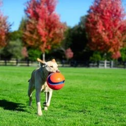 Pelota Chuckit! Kick Fetch Para Perros 11 Pelota Chuckit! Kick Fetch Para Perros -Suministros Para Mascotas 99703 petmate chuckit kick fetch large hs 06 3