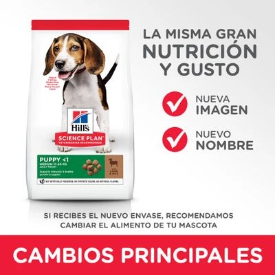 Hill's Science Plan Hill's Puppy <1 Medium Science Plan Con Cordero Y Arroz 7 Hill's Science Plan Hill's Puppy <1 Medium Science Plan Con Cordero Y Arroz - Imagen 7