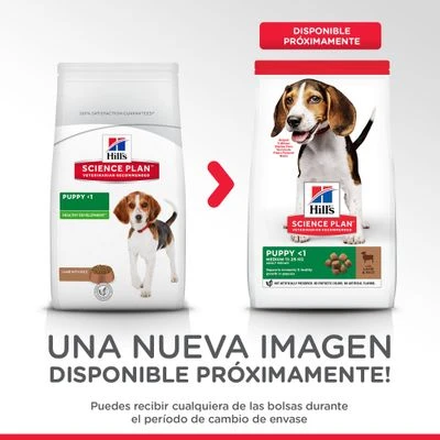 Hill's Science Plan Hill's Puppy <1 Medium Science Plan Con Cordero Y Arroz 2 Hill's Science Plan Hill's Puppy <1 Medium Science Plan Con Cordero Y Arroz - Imagen 2